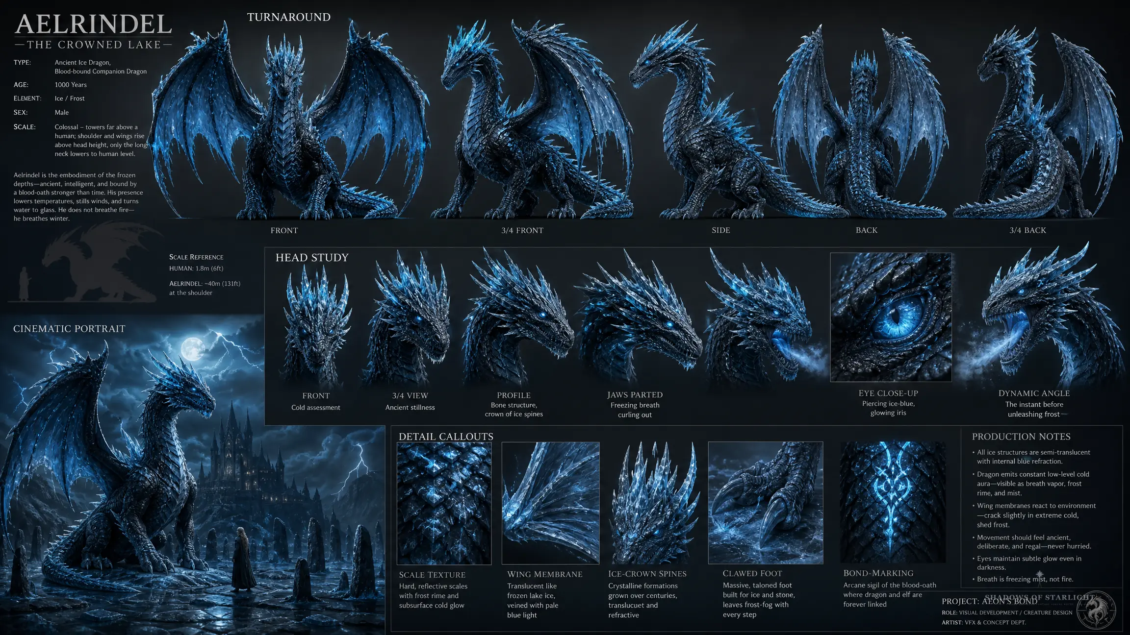 Design sheet of the dragon Aelrindel